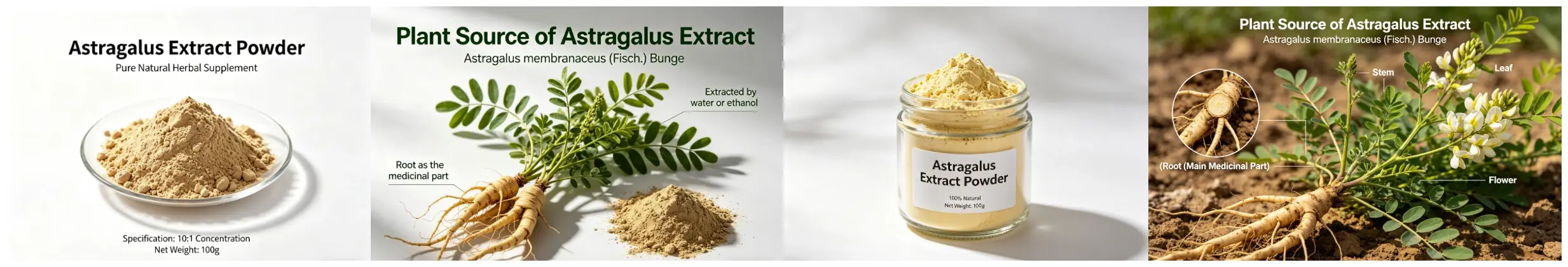Astragalus Root Powder Astragalus Root Powder