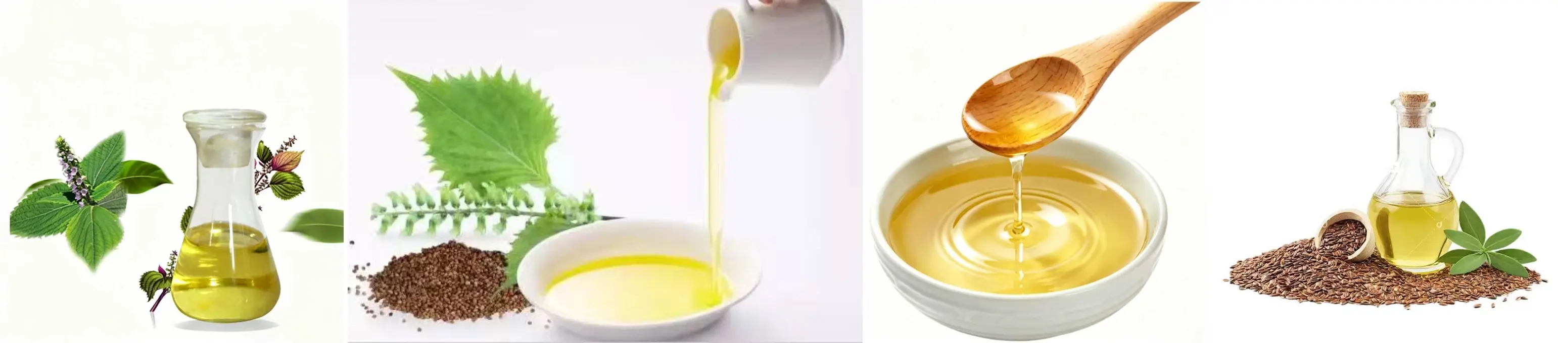 Best Perilla Seed Oil Best Perilla Seed Oil
