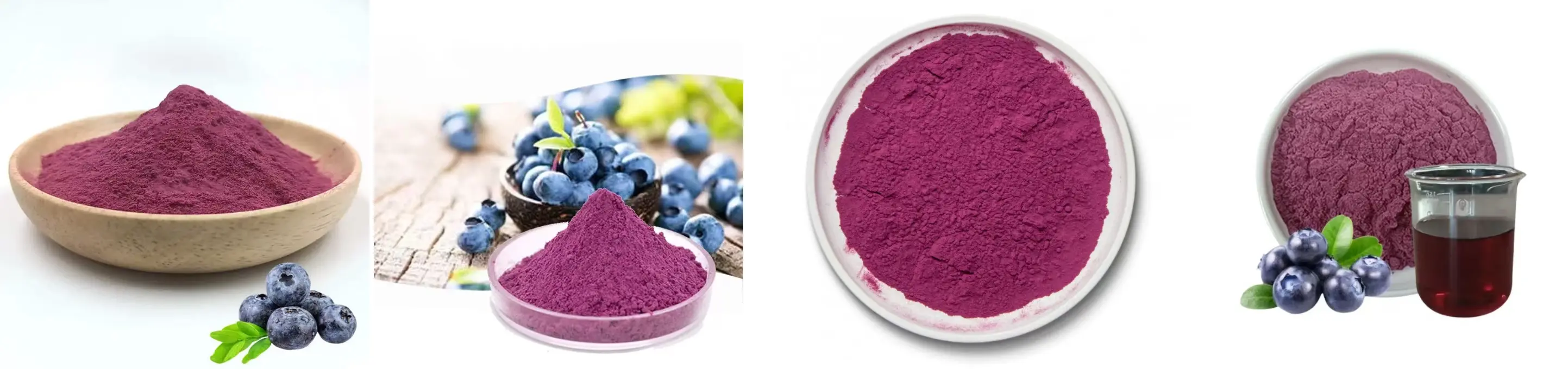 Blueberry Powder Blueberry Powder