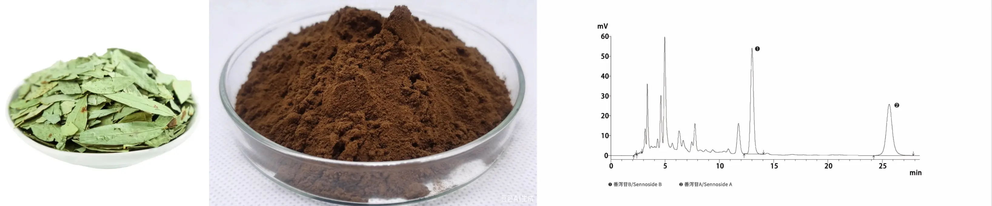 Senna Leaf Extract Powder Senna Leaf Extract Powder