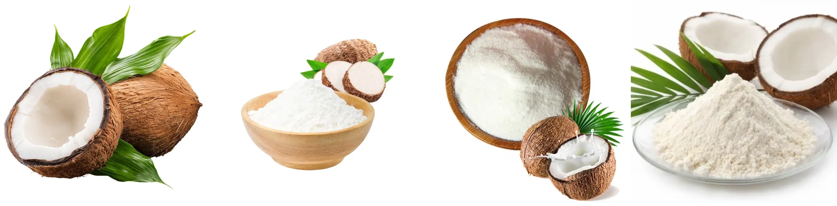Best Coconut Milk Powder