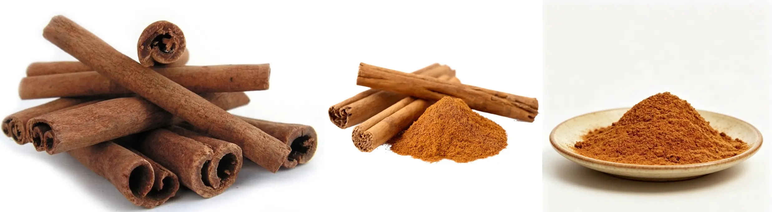 Best Cinnamon Powder