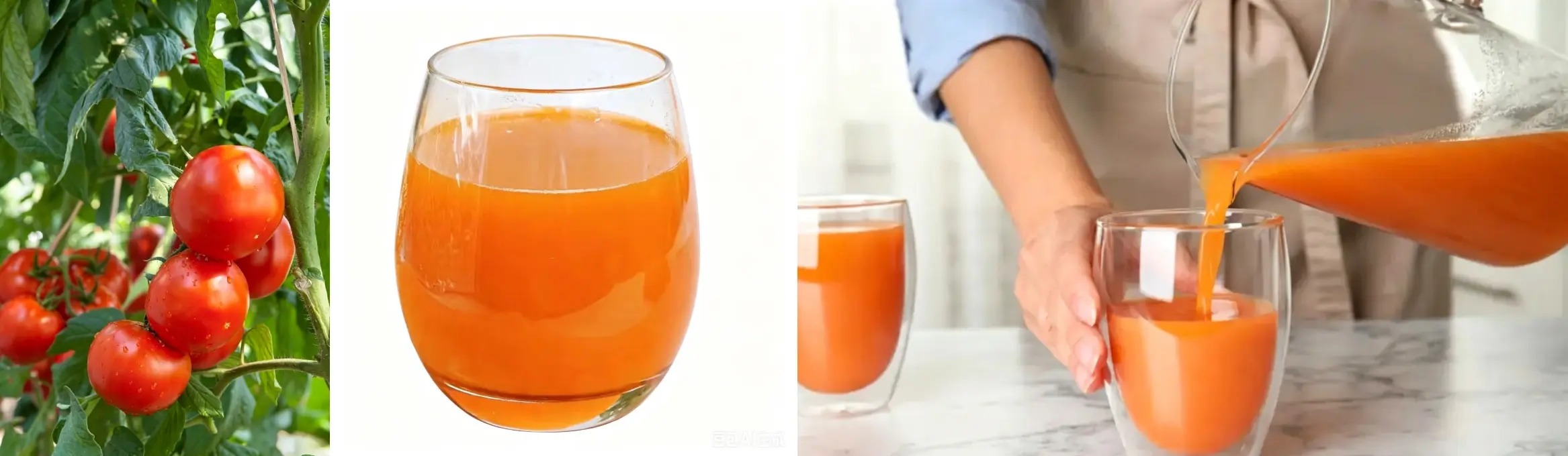 Yunnan Tree Tomato Puree