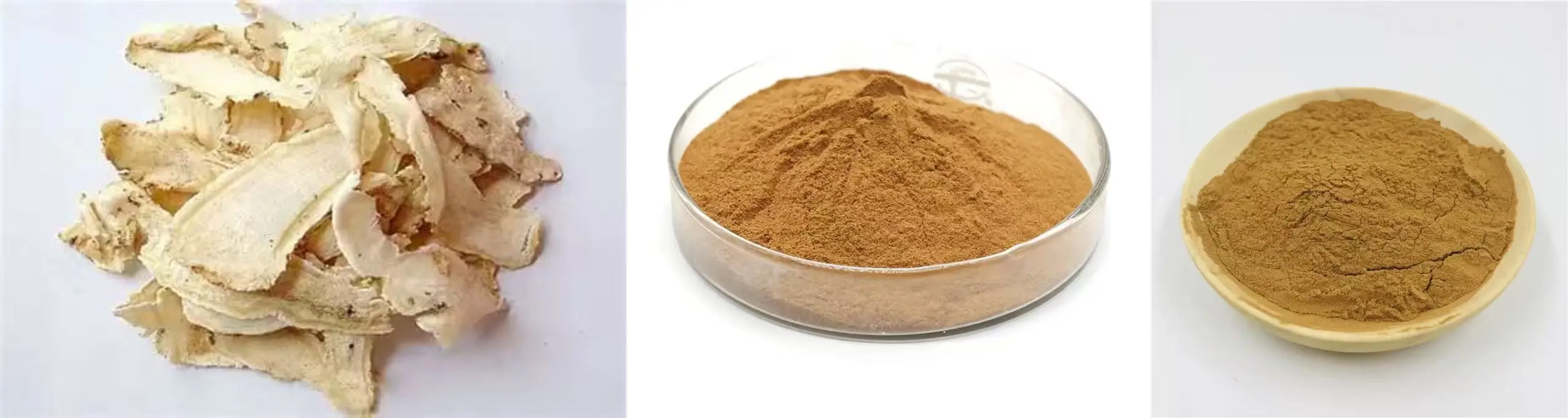 Angelica Sinensis Wall-Broken Raw Powder