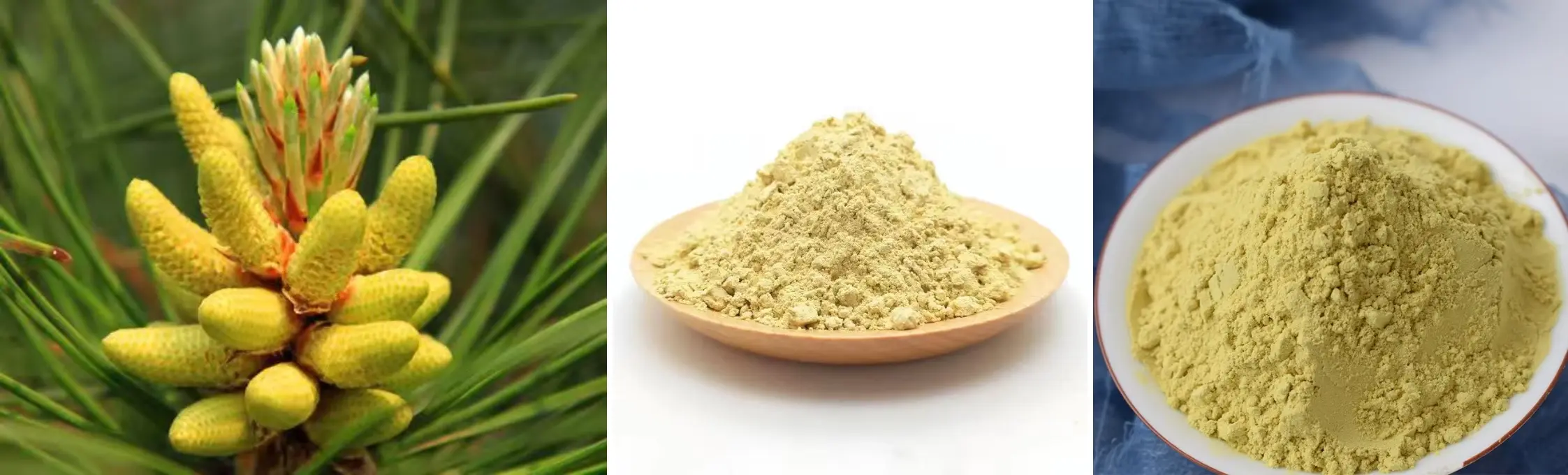 Broken Wall Pine Pollen Powder