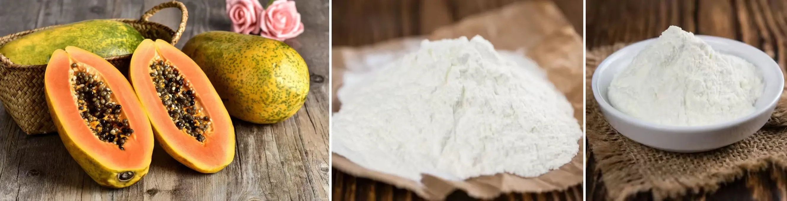 Pure Papain Powder Pure Papain Powder