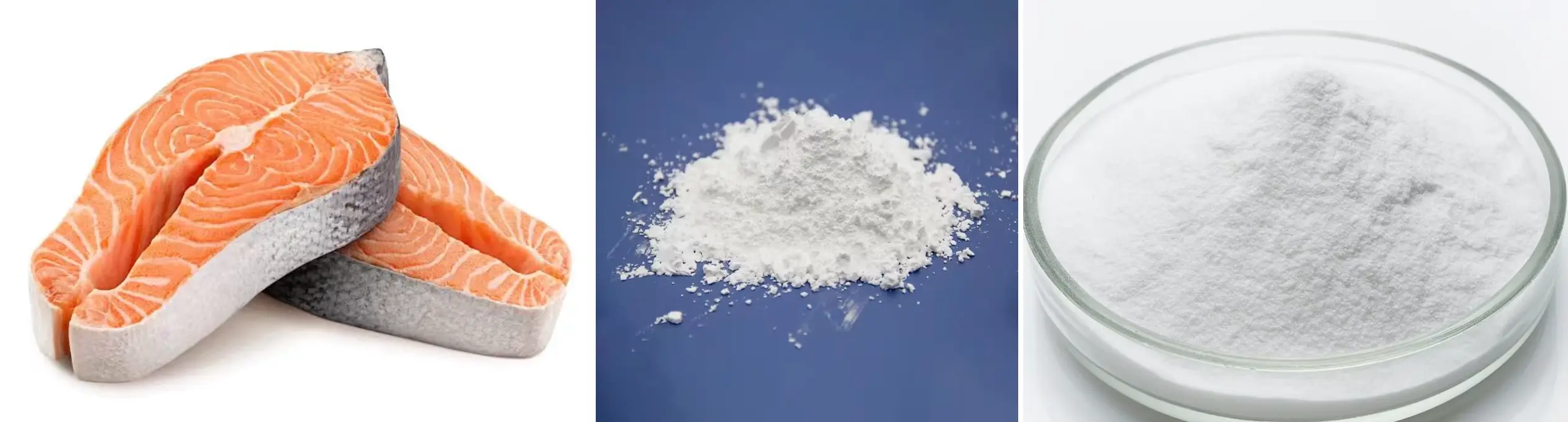 Premium Salmon Oligopeptide Powder Premium Salmon Oligopeptide Powder