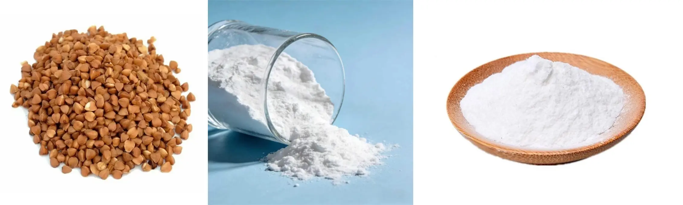 Perilla Oligopeptides 
