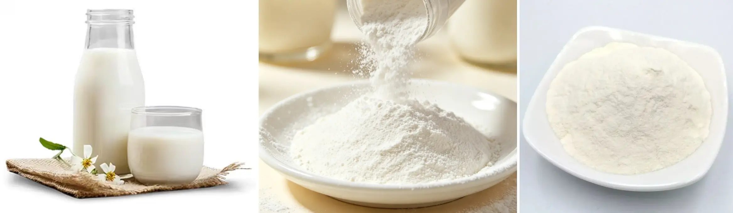 Lactoferrin Peptide Lactoferrin Peptide