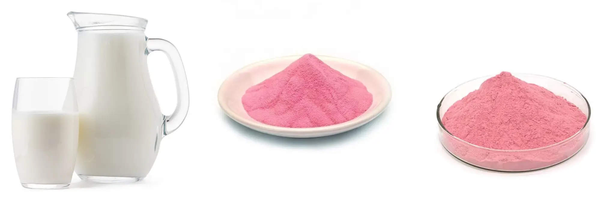 Best Lactoferrin