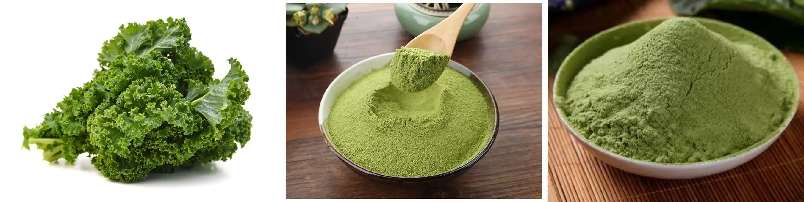 Kale Peptide Kale Peptide