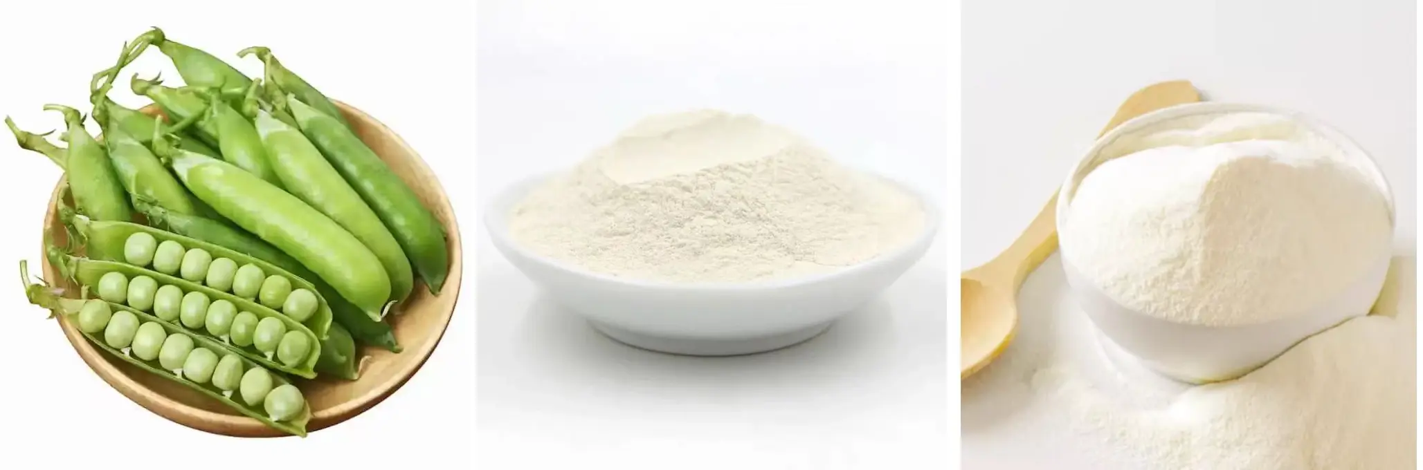 Pea Peptide
