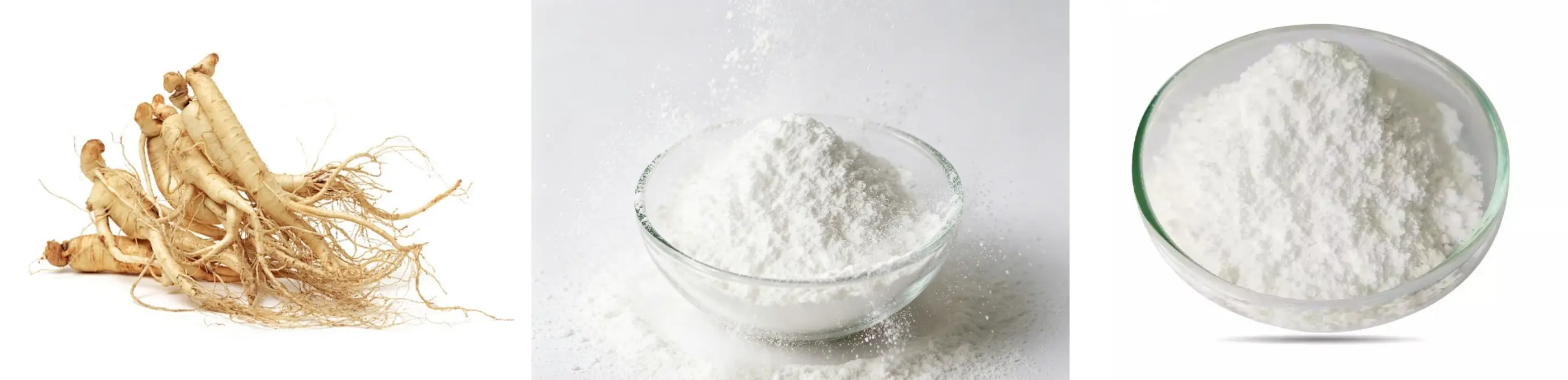 Ginseng Peptide