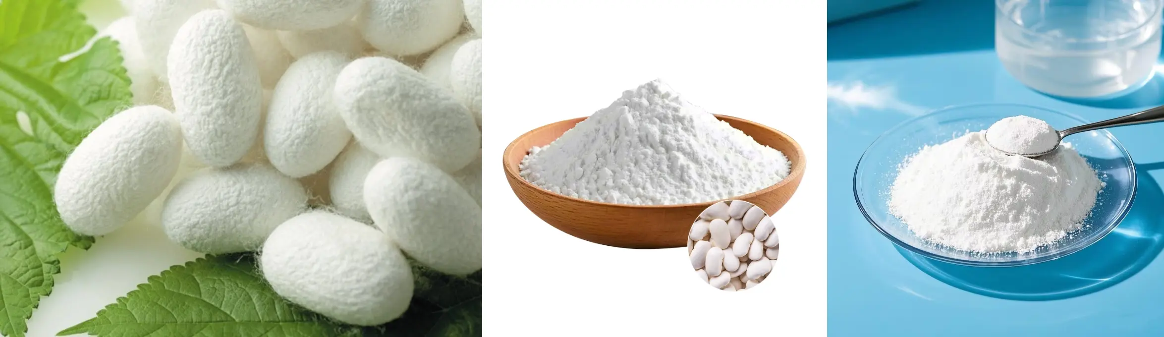 Silk Peptide Powder Silk Peptide Powder