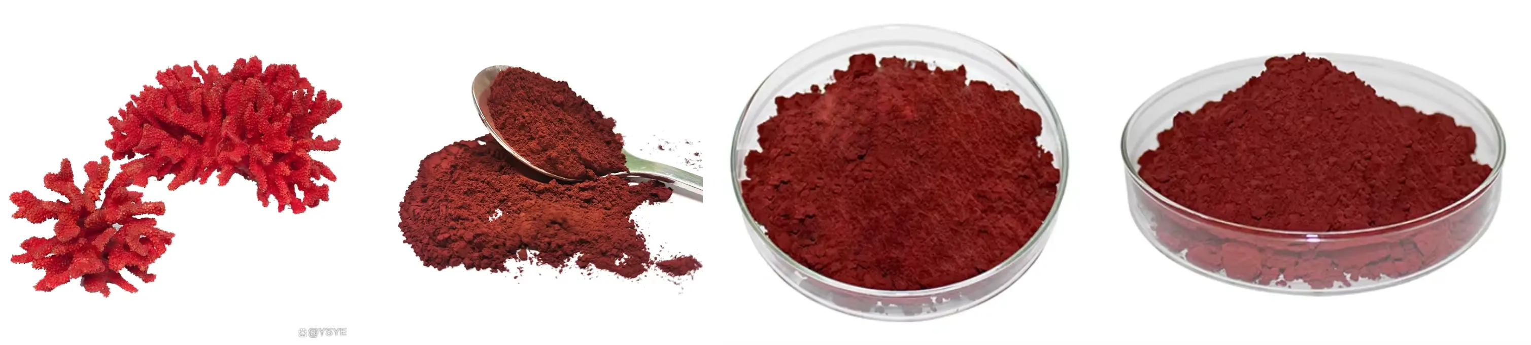 Haematococcus Pluvialis Powder