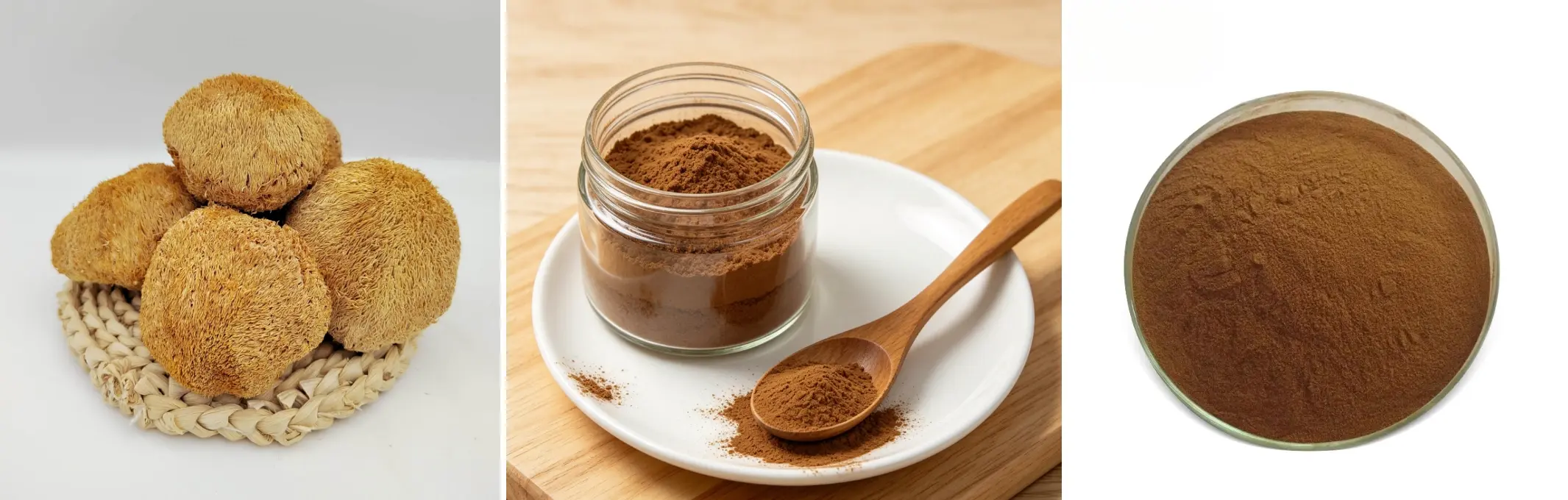 Hericium Erinaceus Extract Powder Hericium Erinaceus Extract Powder