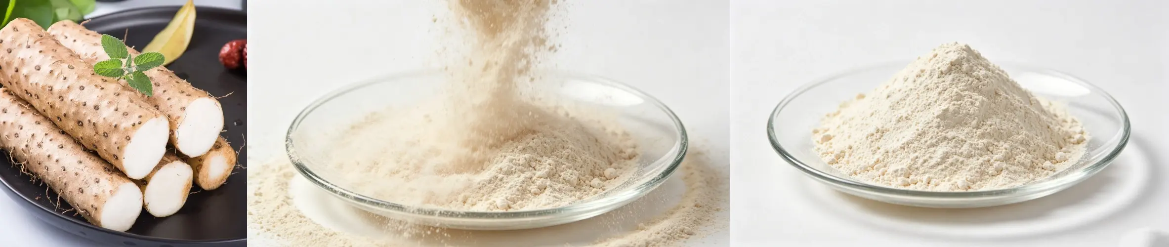 Chinese Yam Extract Chinese Yam Extract