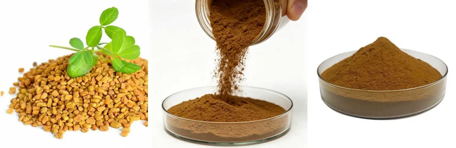 Fenugreek Seed Extract Powder