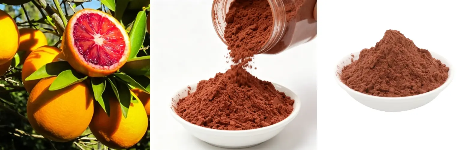 Blood Orange Extract Blood Orange Extract