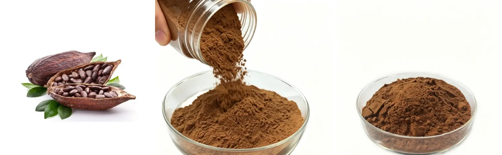Theobromine Extract