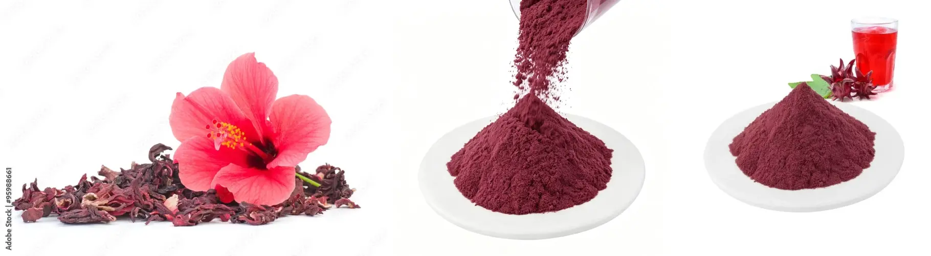 Roselle Extract Roselle Extract