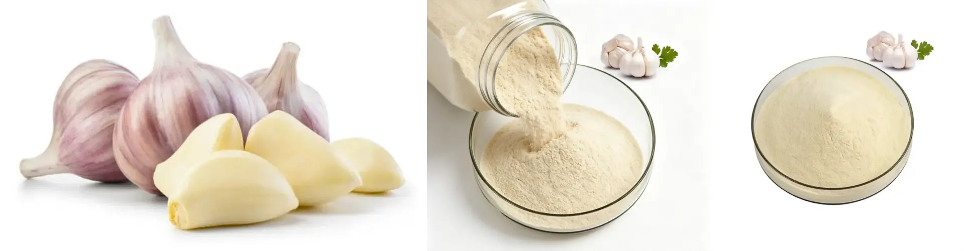 Garlic Extract Garlic Extract