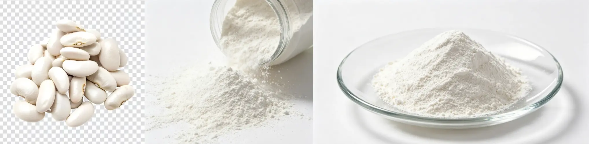 White Kidney Bean Extract Powder
