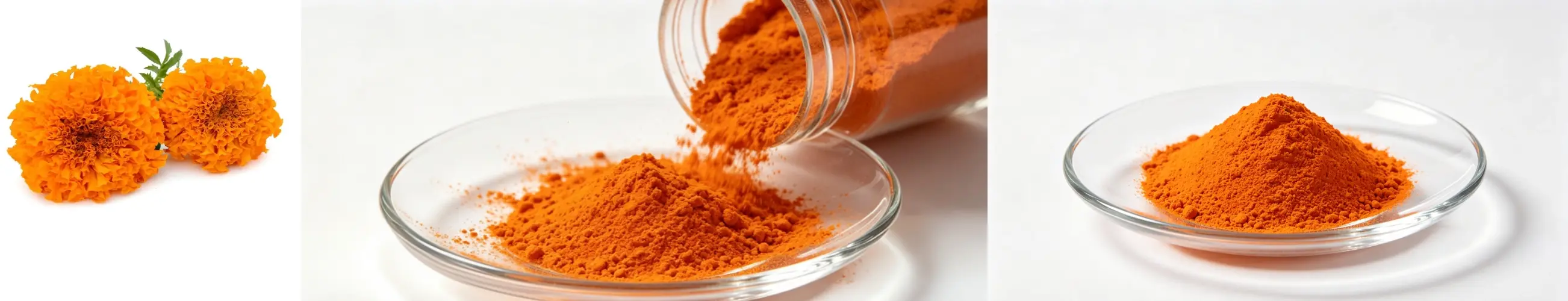 Organic Marigold Extract