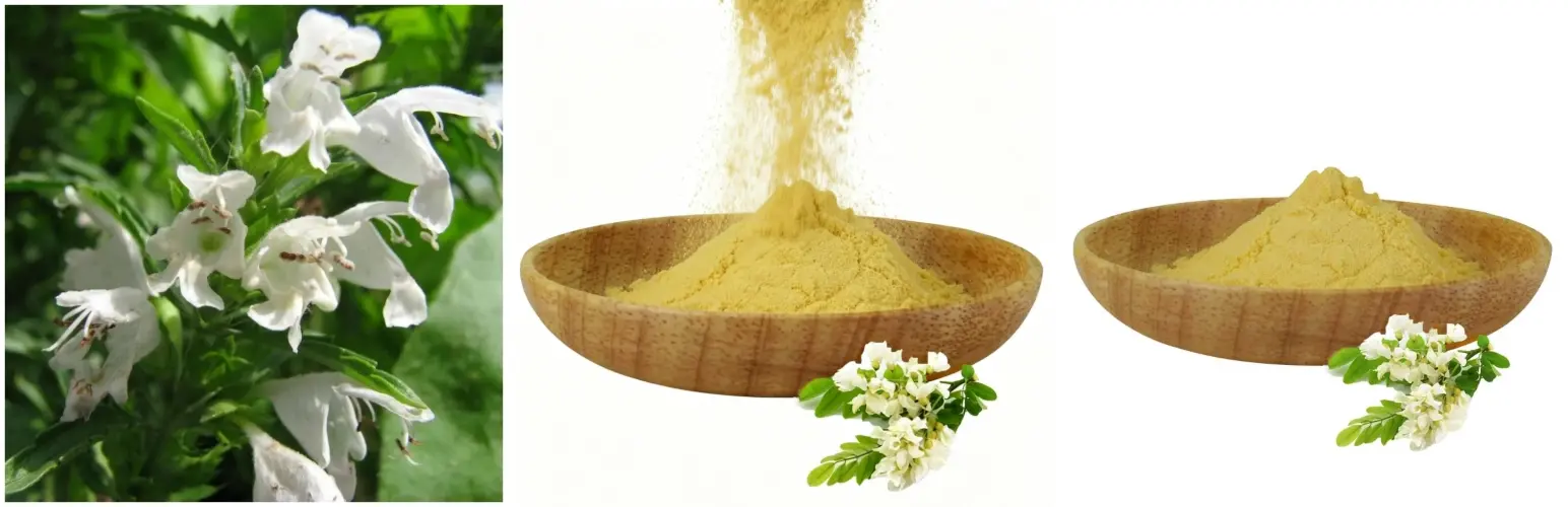 Sophora Japonica Flower Extract Sophora Japonica Flower Extract
