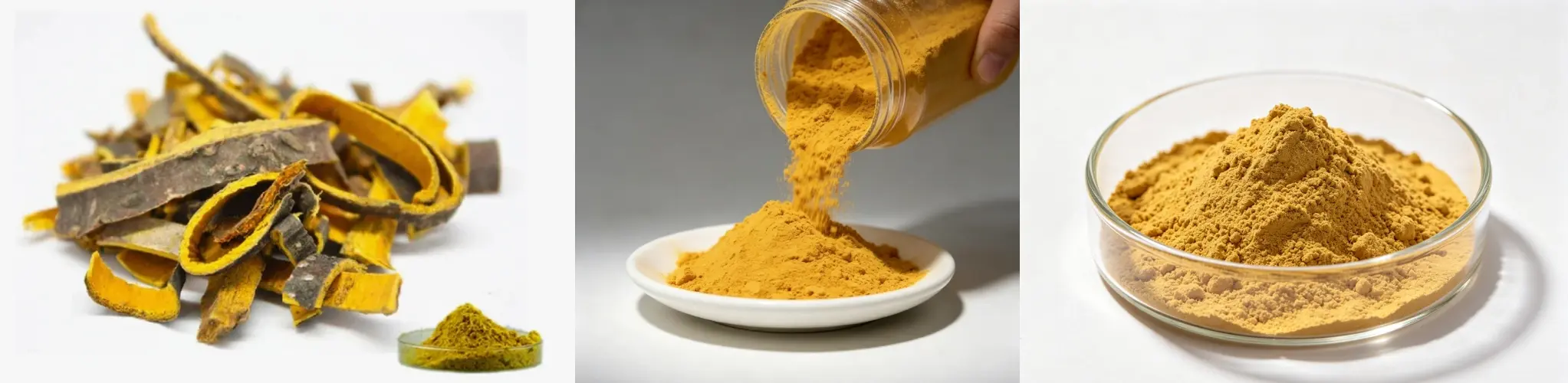 Phellodendron Bark Extract Phellodendron Bark Extract