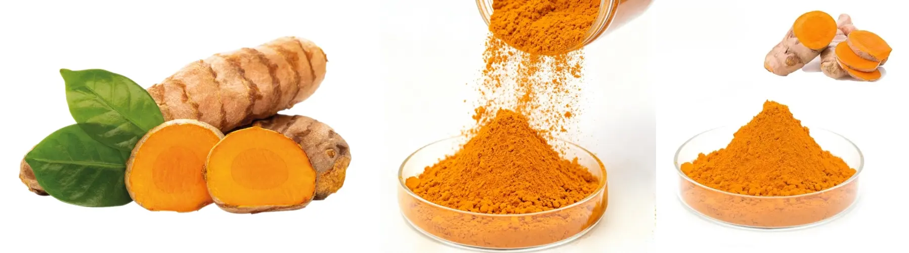 Turmeric Extract Powder Turmeric Extract Powder
