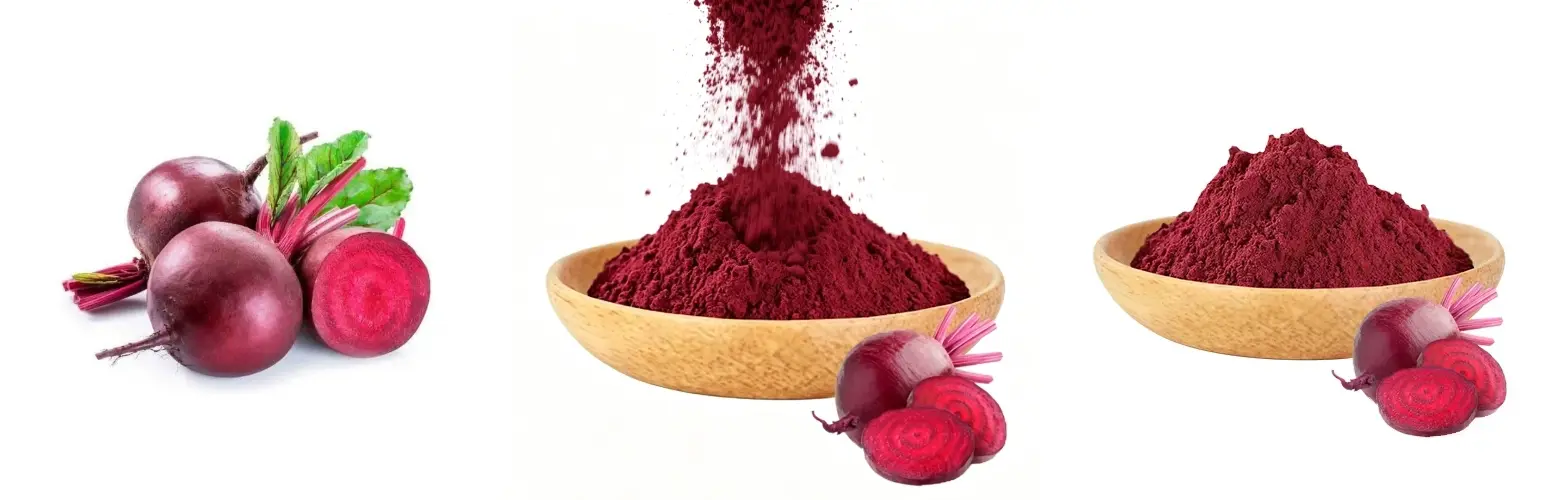 Beet Root Extract Powder Beet Root Extract Powder