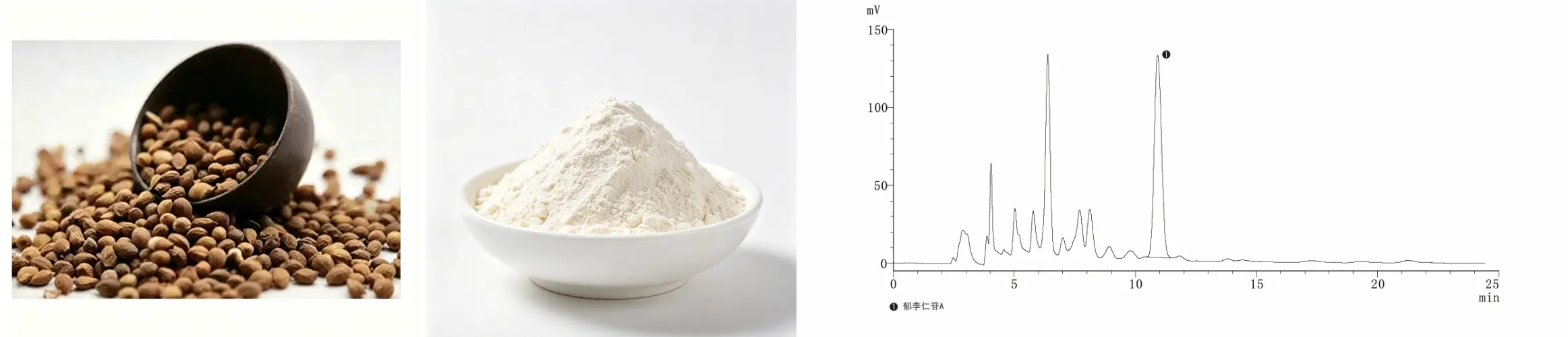 Prunus Humilis Extract 