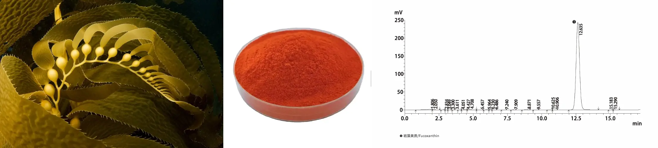 Fucoxanthin