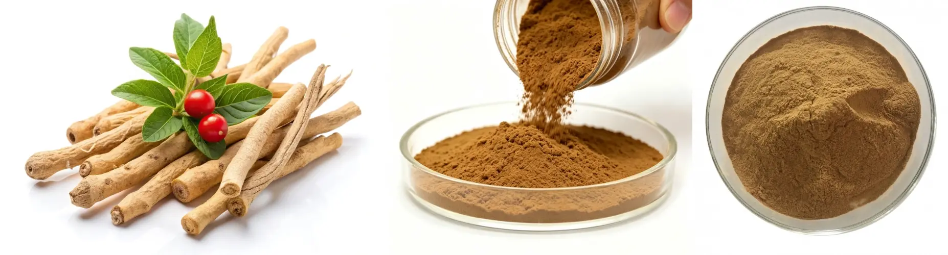 Pure Ashwagandha Extract Pure Ashwagandha Extract