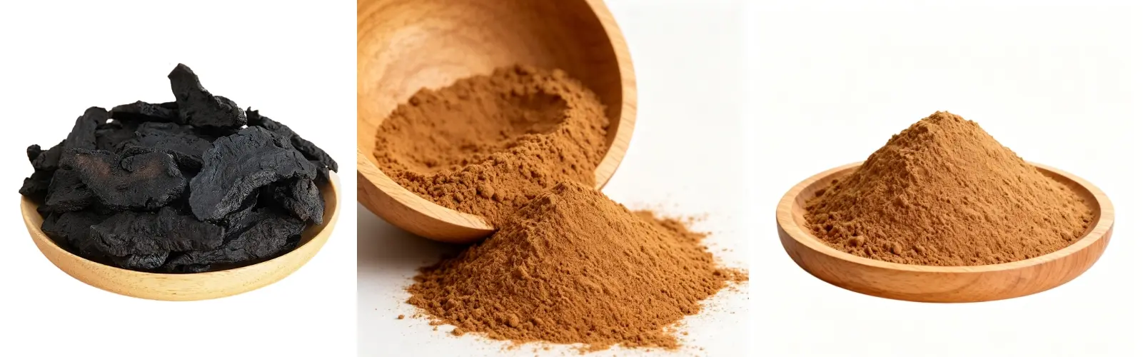 Polygonatum Extract Polygonatum Extract