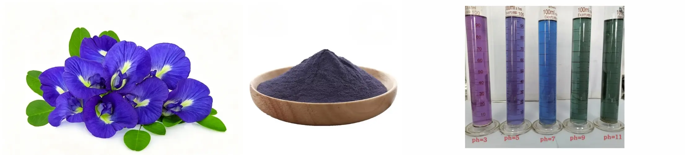 Butterfly Pea Flower Extract 