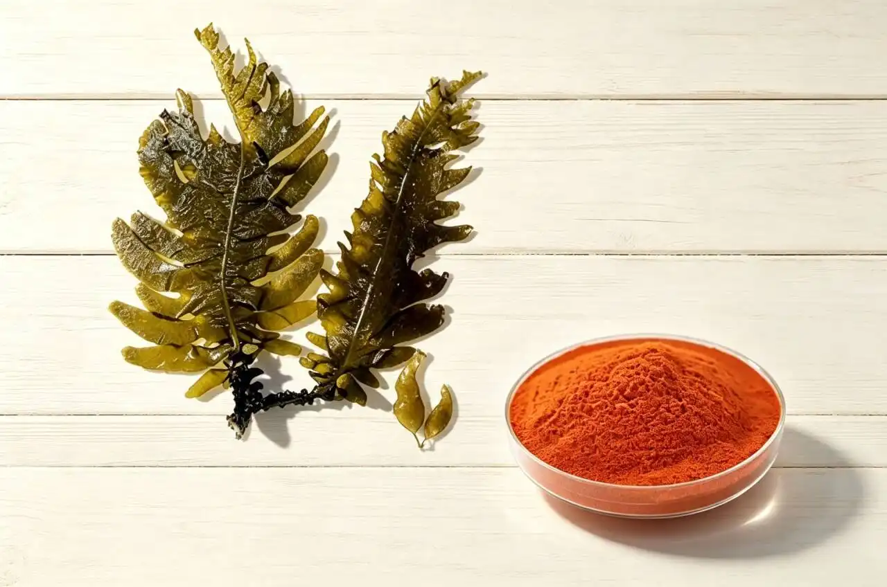 Fucoxanthin Extract vs Other Weight Management Ingredients