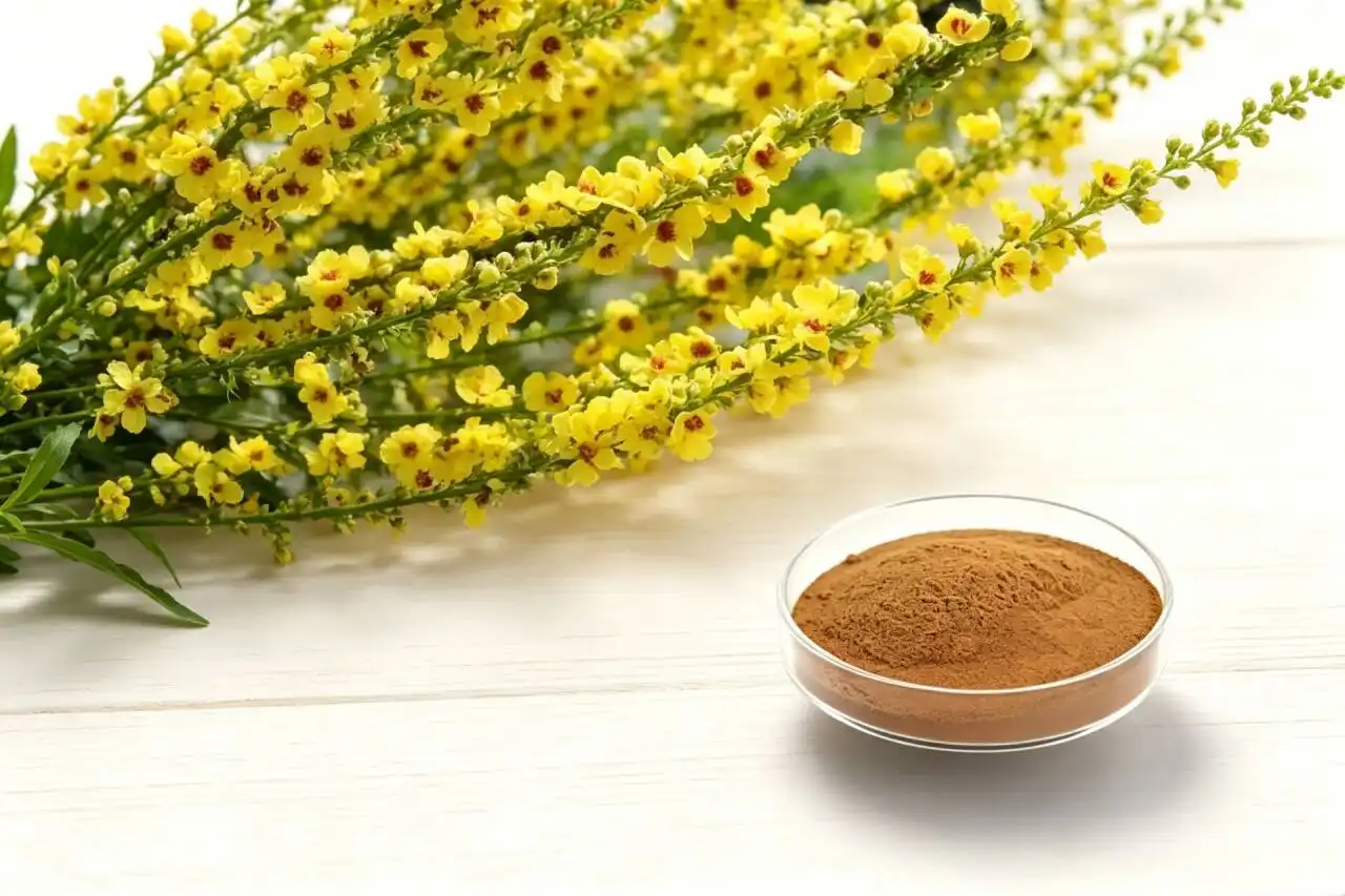Why Wall-Broken Mullein Powder Is Popular in Herbal Supplements？