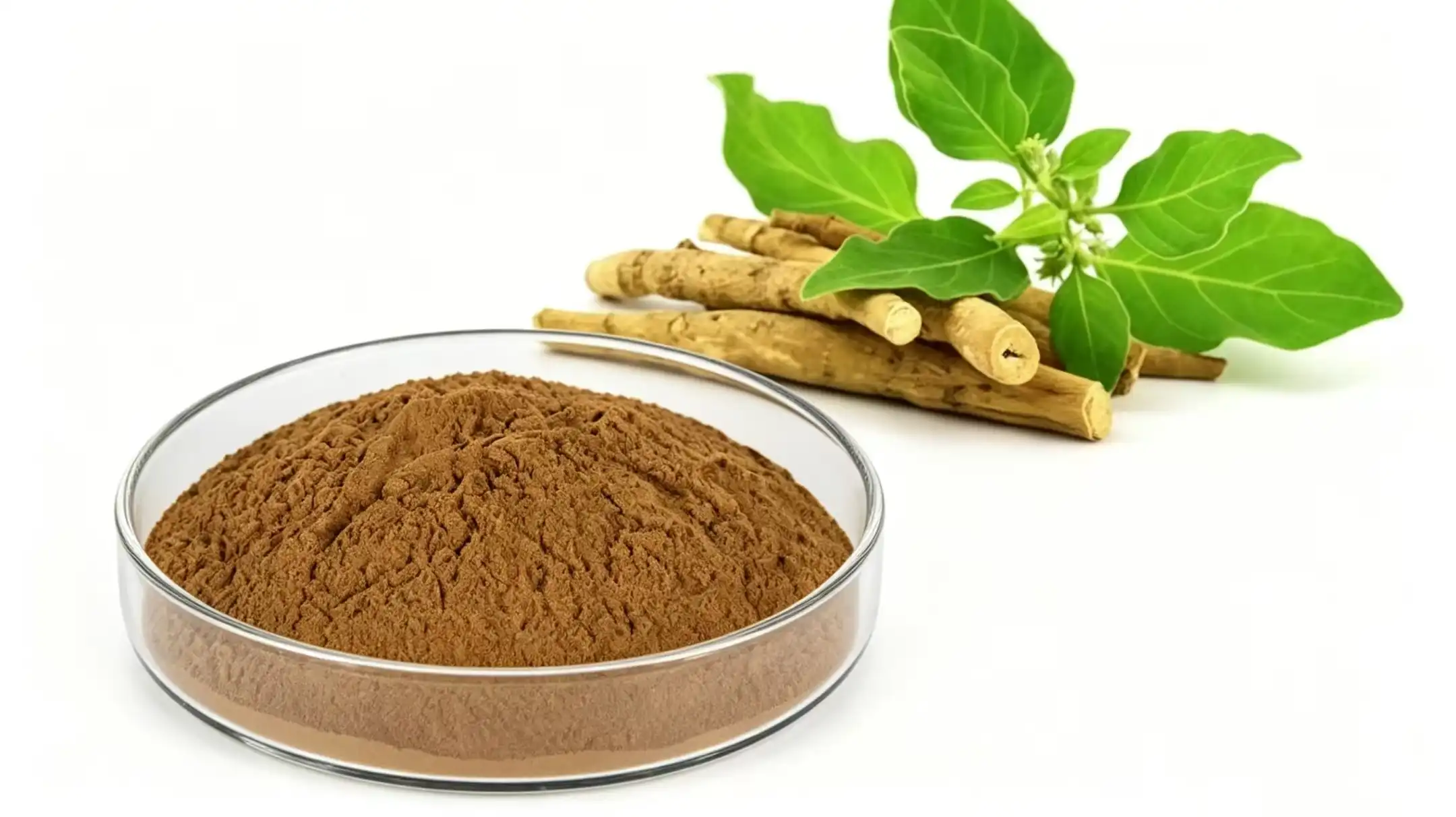 Ashwagandha extract for better sleep quality