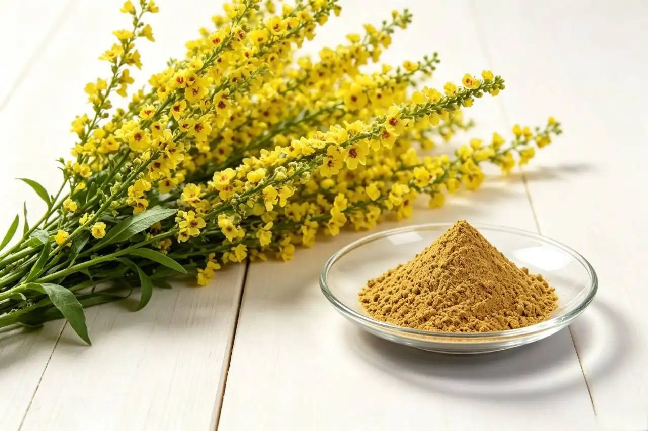 Top Benefits of Wall-Broken Mullein Powder Ingredients