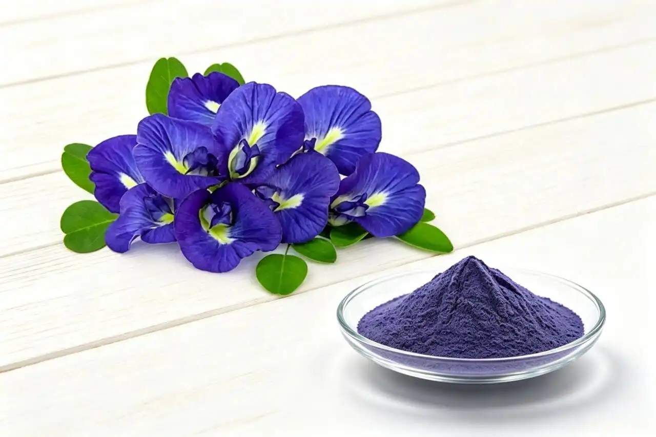 Butterfly Pea Flower Extract Quality Guide for Buyers