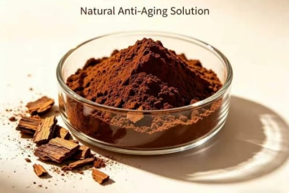 Pine Bark Extract for Anti-Aging Skin Care: Benefits and Uses