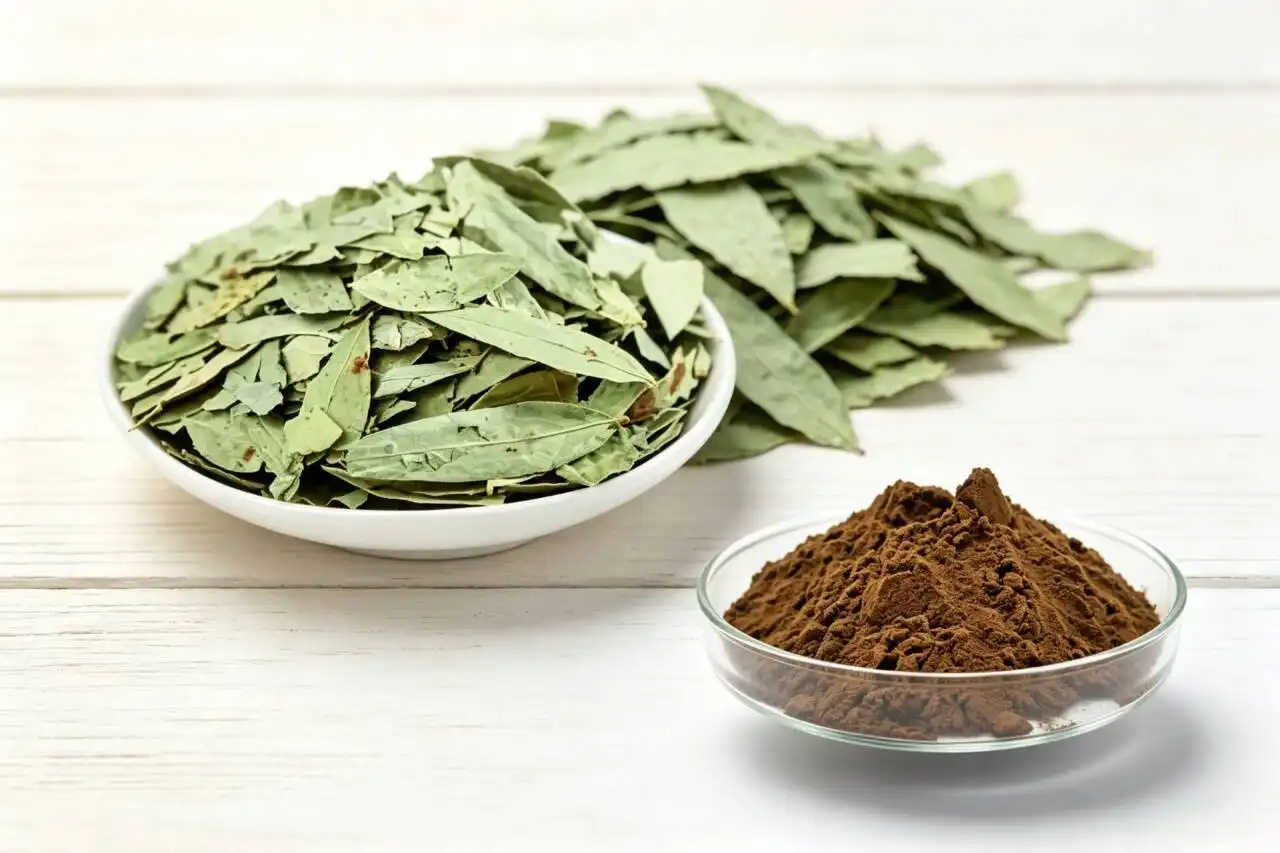 Senna Leaf Extract Powder Supplier Guide for Supplement Brands