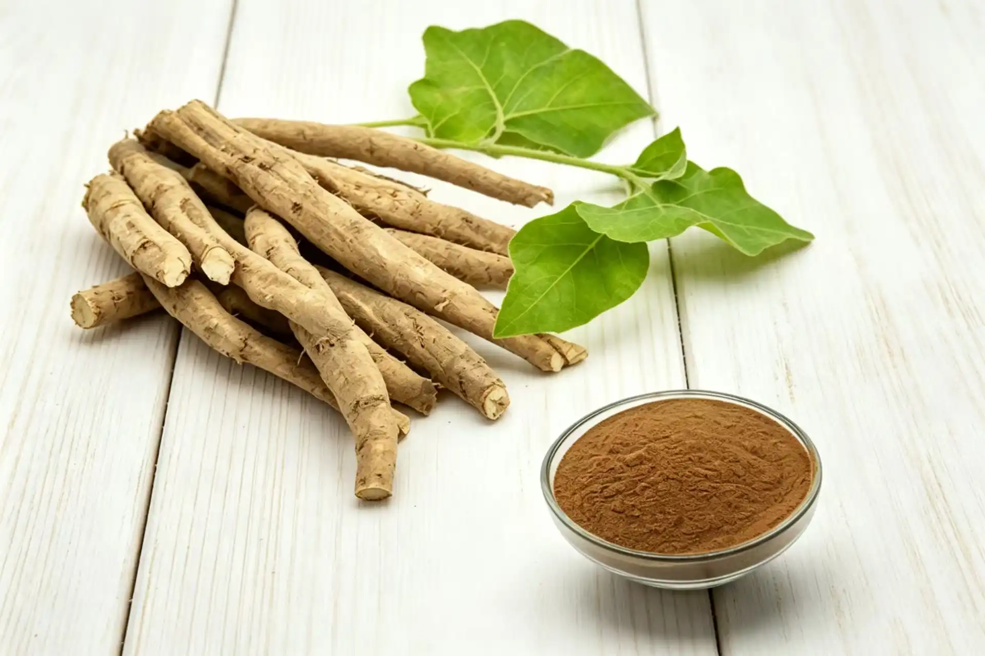 Ashwagandha extract benefits for stress and anxiety
