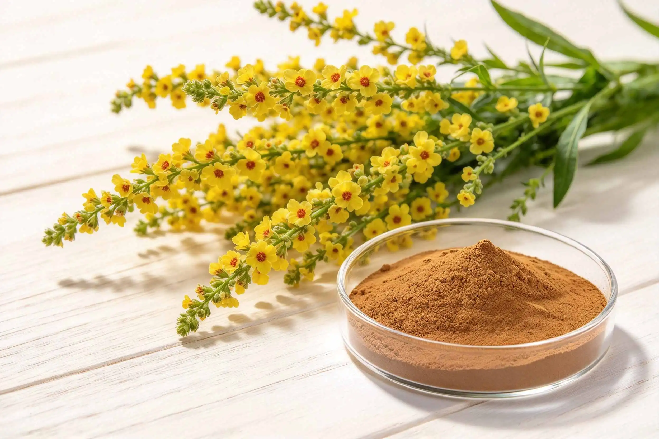What Is Wall-Broken Mullein Raw Powder Used For?