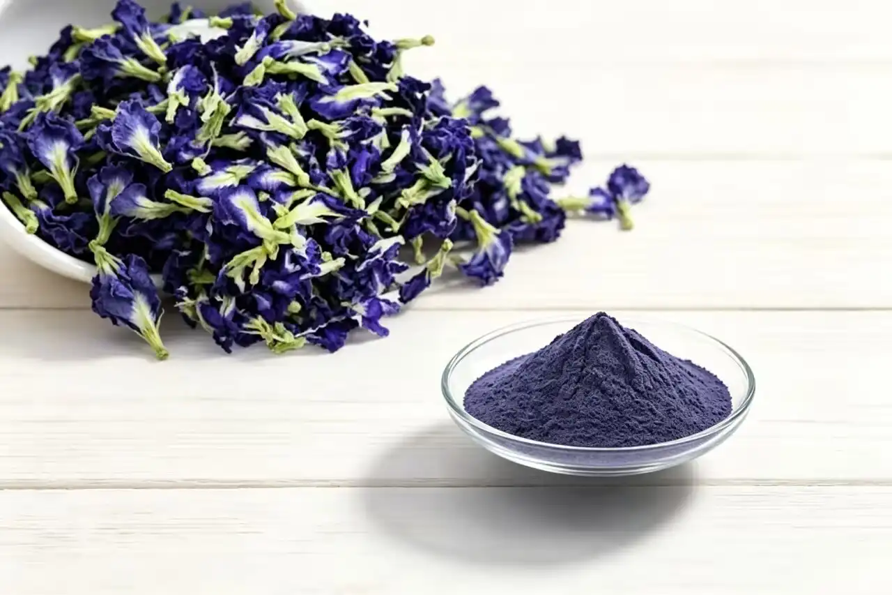 Is butterfly pea flower extract good for you?