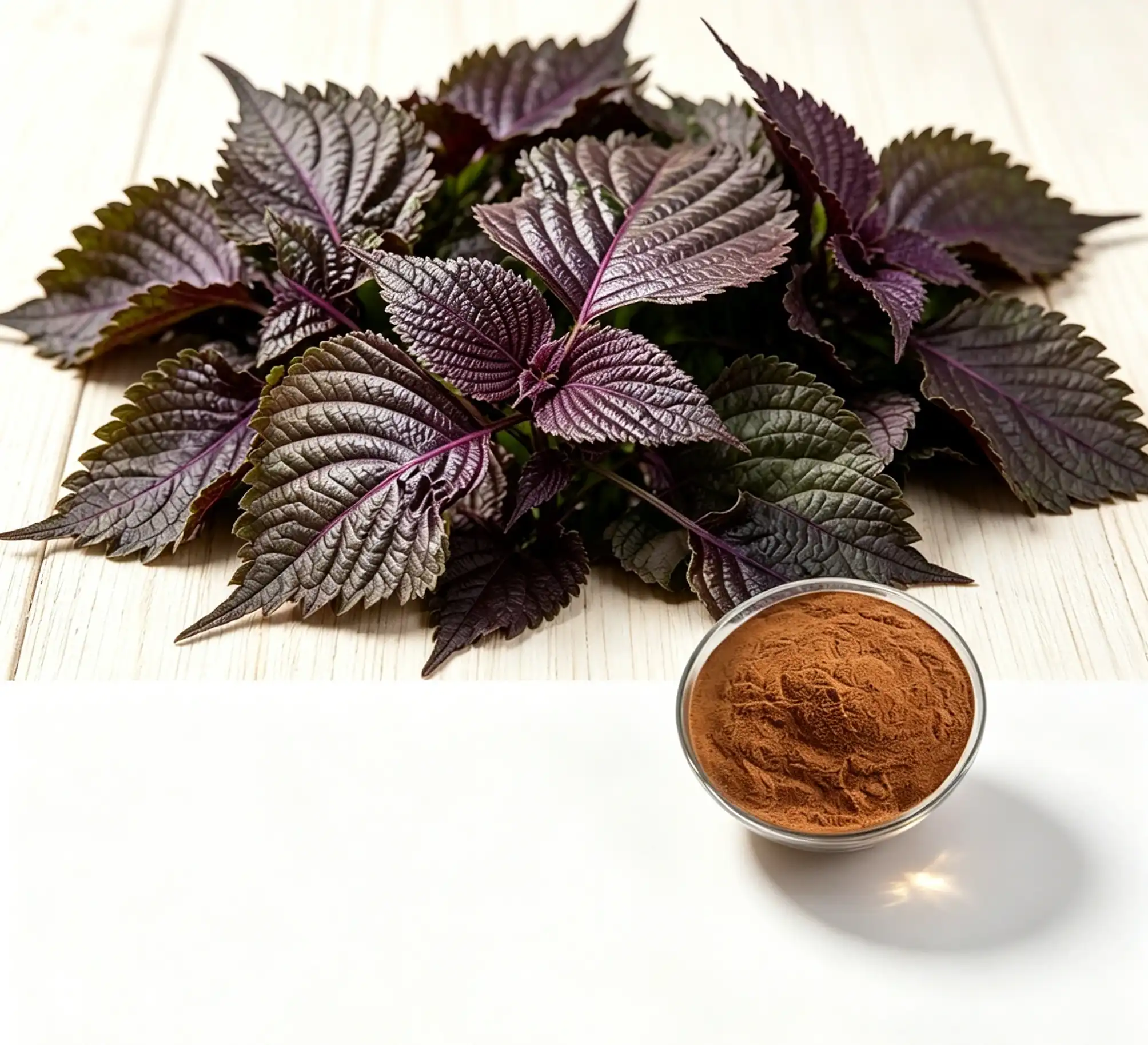 How to use perilla extract daily?