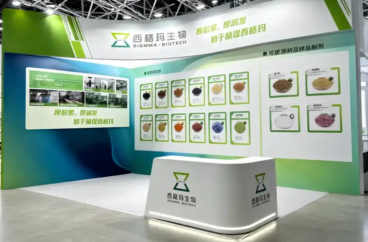 Exhibition Review: WPE&WHPE 2025
