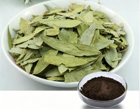 Senna Leaf Extract Powder